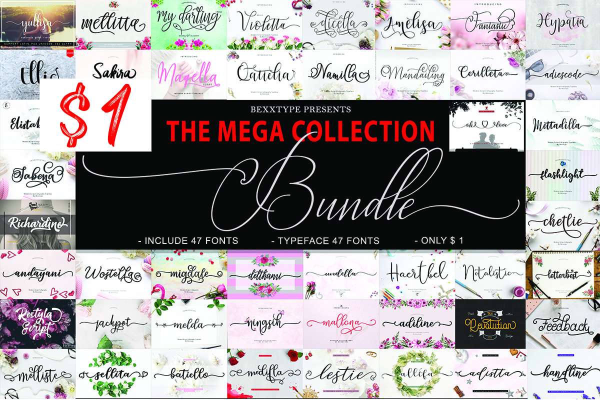 Elegant Font Collection Bundle